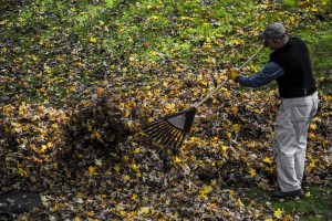 Volunteers helped to clear leaves from yards in the annual Rake-a-thon. Photo courtesy Photopin