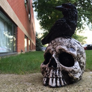 skull and crow